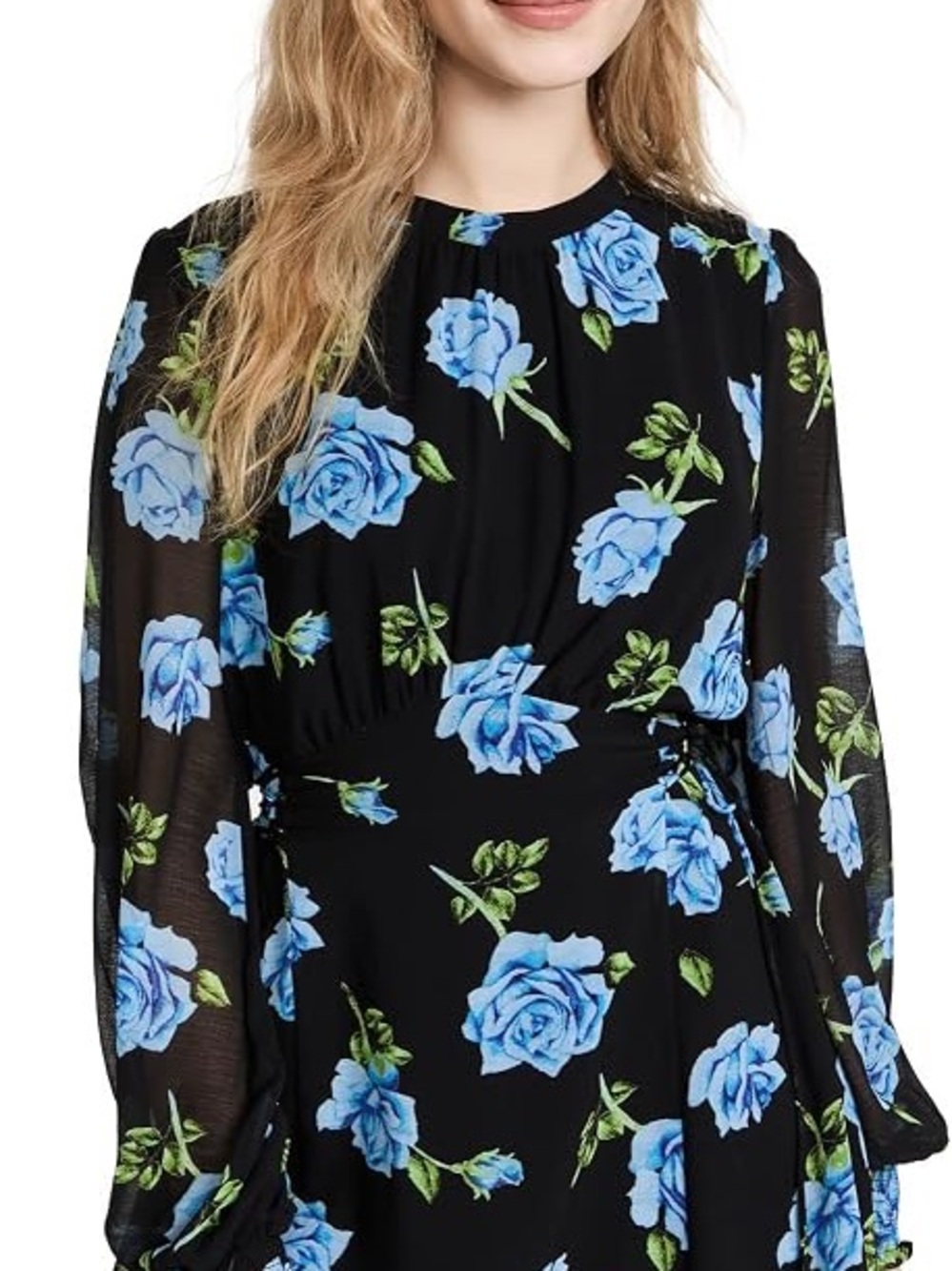 Black Floral Long Sleeve Dress with Blue Roses